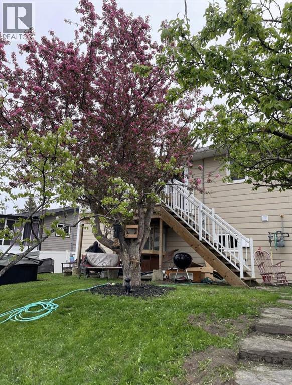 218 8 Avenue NE, Sundre, Alberta  T0M 1X0 - Photo 7 - A2295466