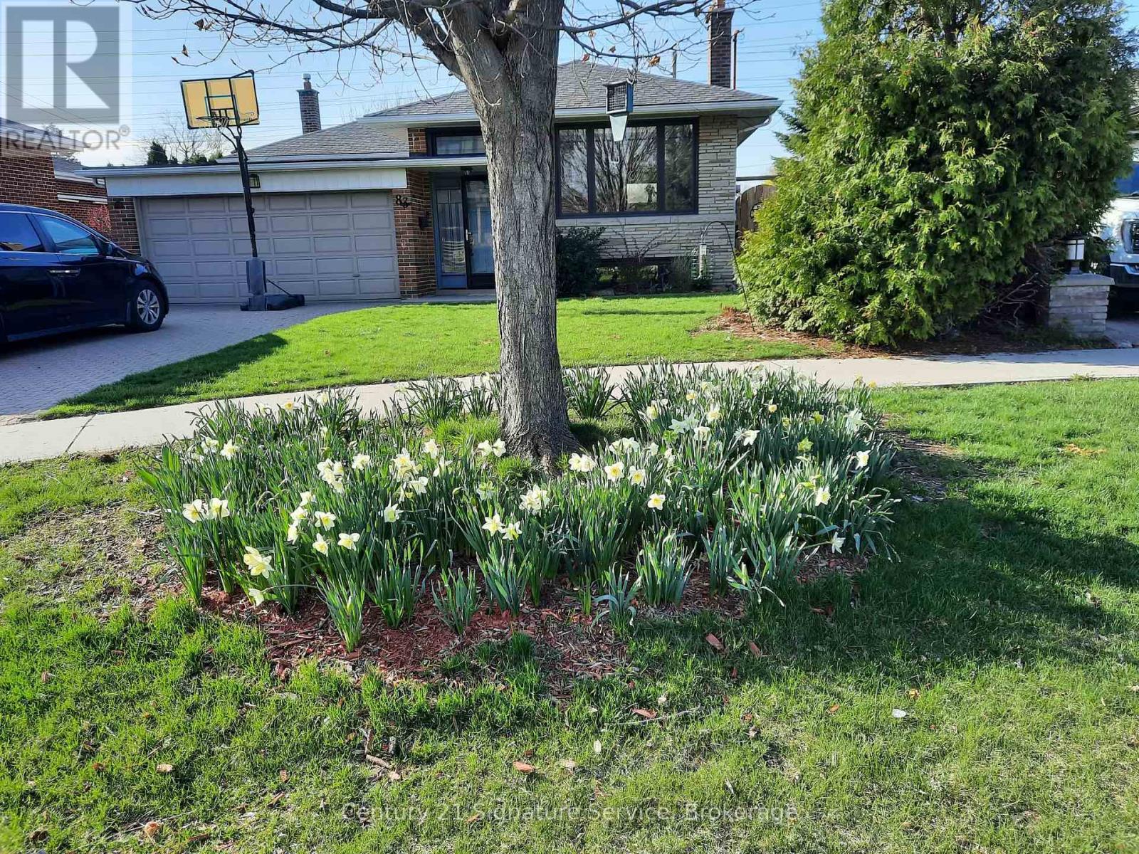 83 Coney Road, Toronto, Ontario  M8Z 2K7 - Photo 45 - W12912780