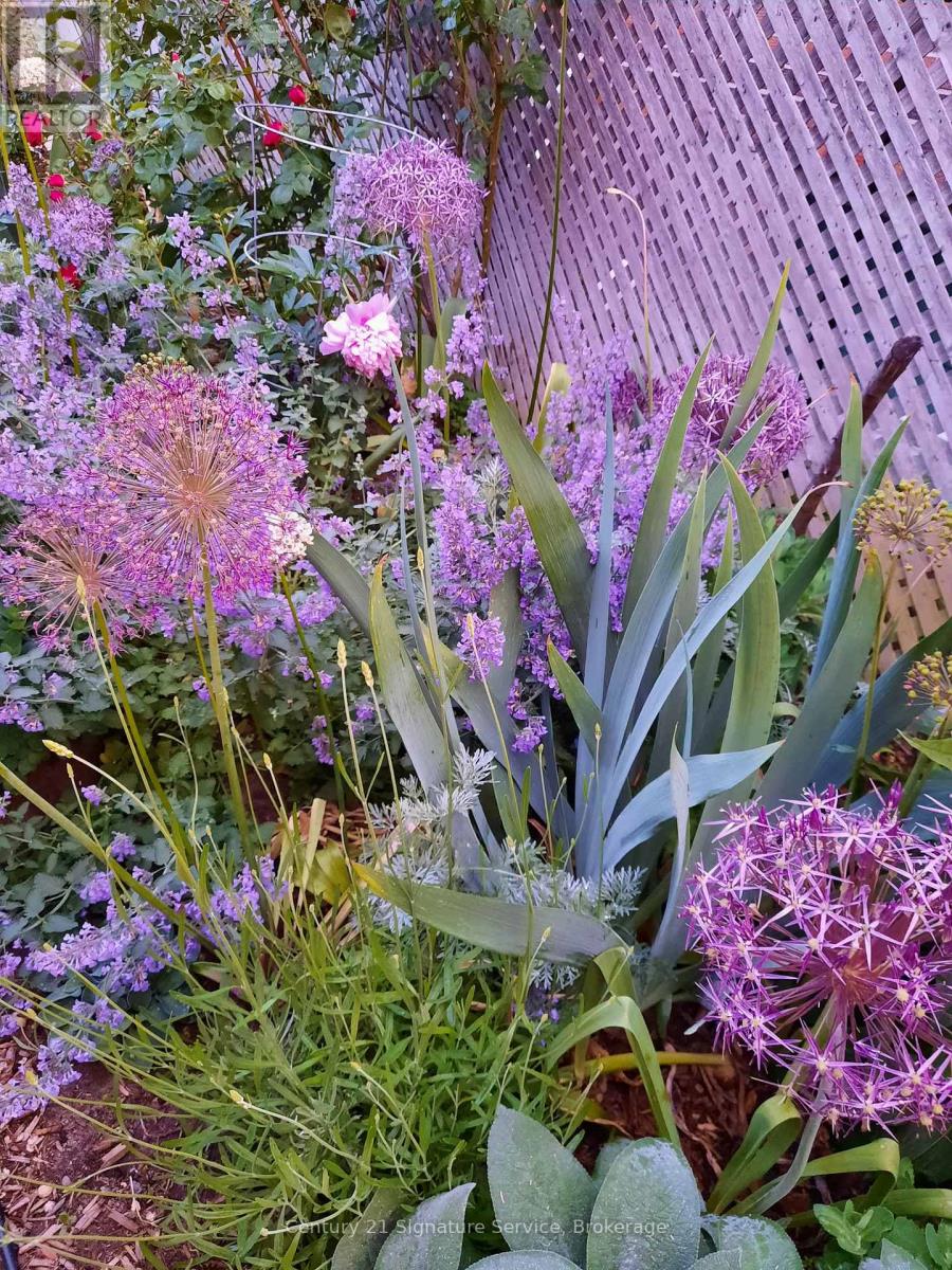 83 Coney Road, Toronto, Ontario  M8Z 2K7 - Photo 46 - W12912780