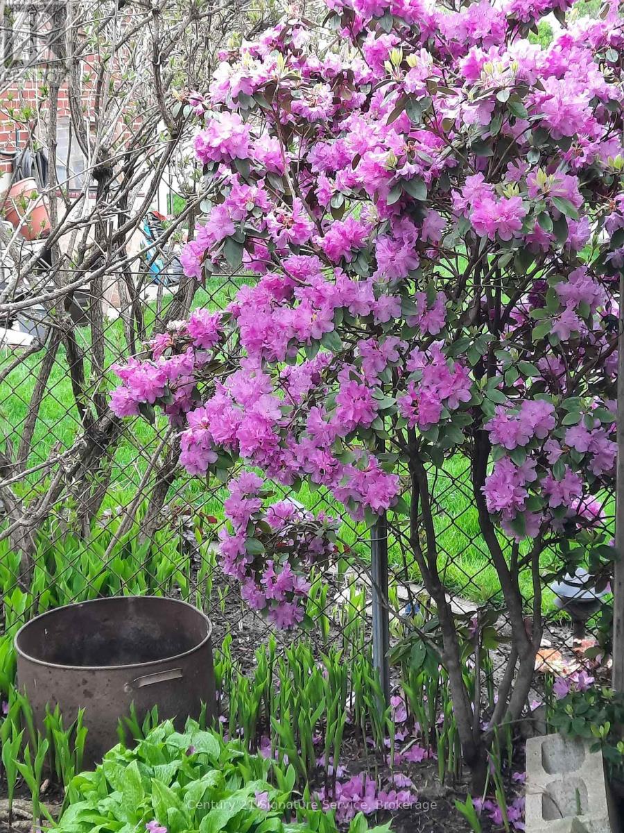 83 Coney Road, Toronto, Ontario  M8Z 2K7 - Photo 47 - W12912780