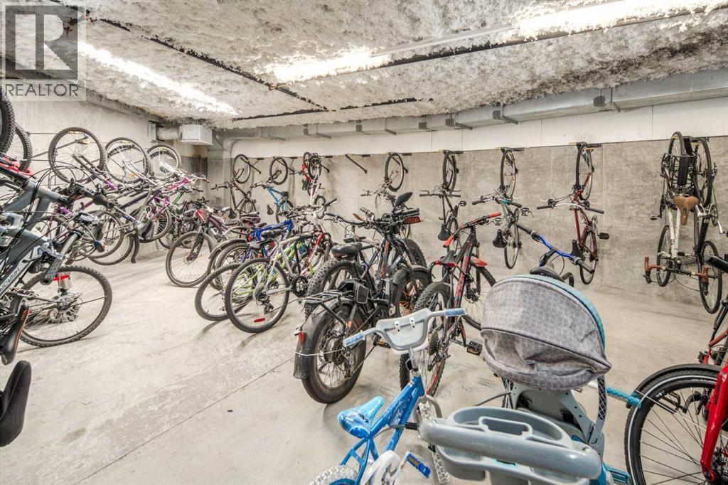 203, 88 Arbour Lake Road Nw, Calgary, Alberta  T3G 0C2 - Photo 39 - A2295878