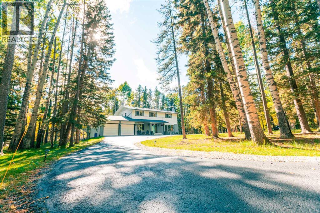 336207 Leisure Lake Drive W, Rural Foothills County, Alberta  T0L 1W2 - Photo 4 - A2295240