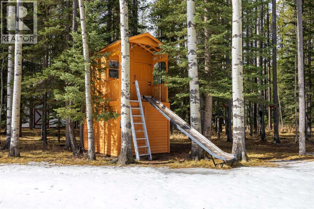 336207 Leisure Lake Drive W, Rural Foothills County, Alberta  T0L 1W2 - Photo 43 - A2295240