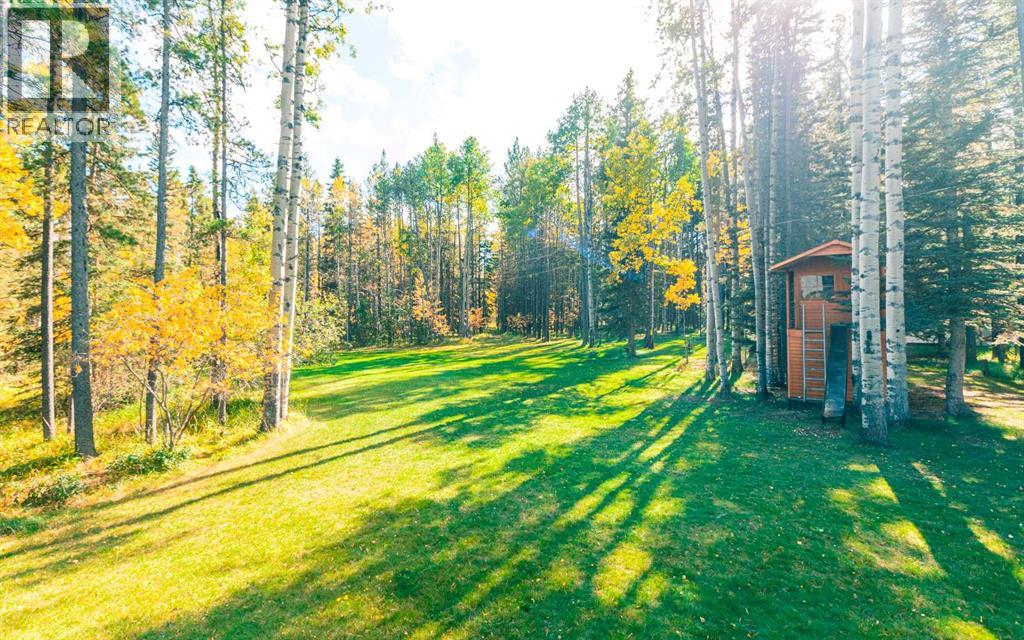 336207 Leisure Lake Drive W, Rural Foothills County, Alberta  T0L 1W2 - Photo 40 - A2295240