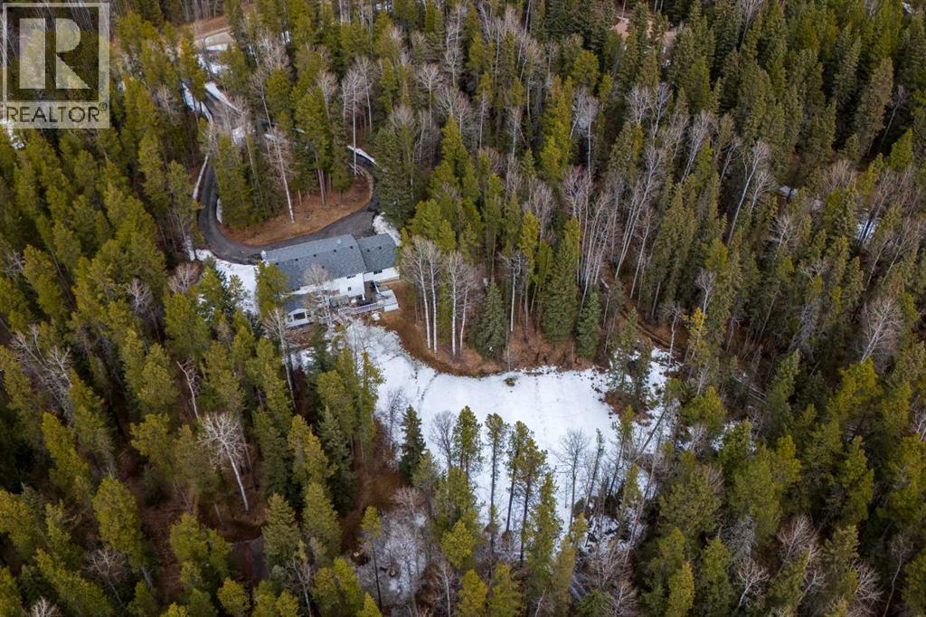 336207 Leisure Lake Drive W, Rural Foothills County, Alberta  T0L 1W2 - Photo 47 - A2295240