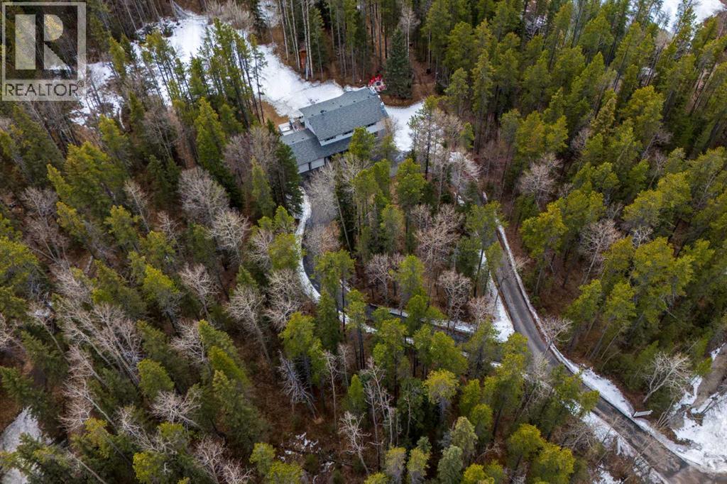 336207 Leisure Lake Drive W, Rural Foothills County, Alberta  T0L 1W2 - Photo 48 - A2295240