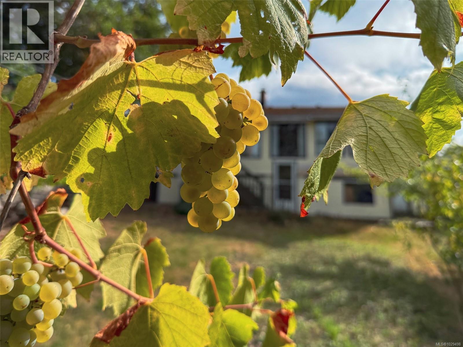 4927 Neill St, Port Alberni, British Columbia  V9Y 1C8 - Photo 67 - 1029498