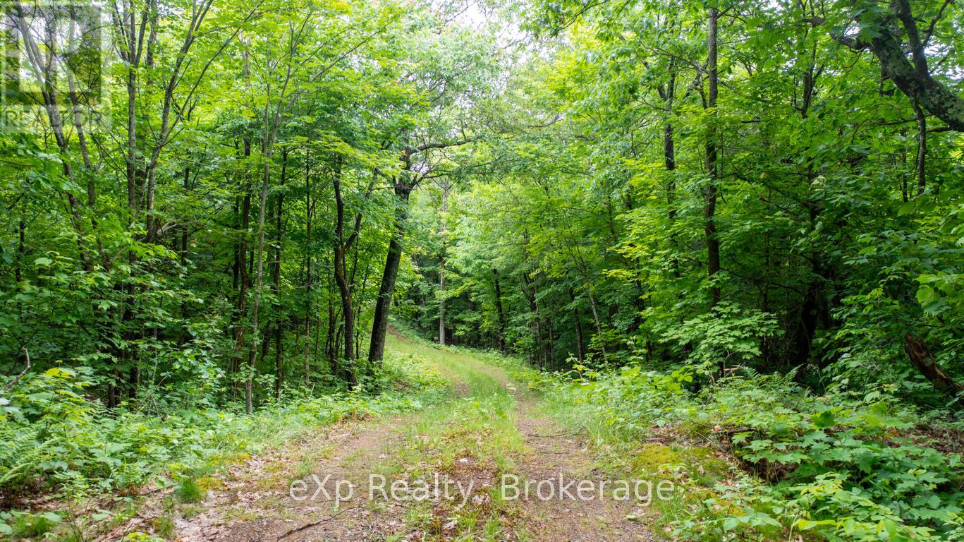 3 Kingfisher Road, Mcdougall, Ontario  P2A 2W9 - Photo 18 - X12715558