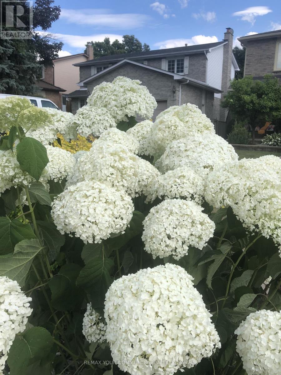 911 Ferndale Crescent, Newmarket, Ontario  L3Y 6B6 - Photo 46 - N12912906