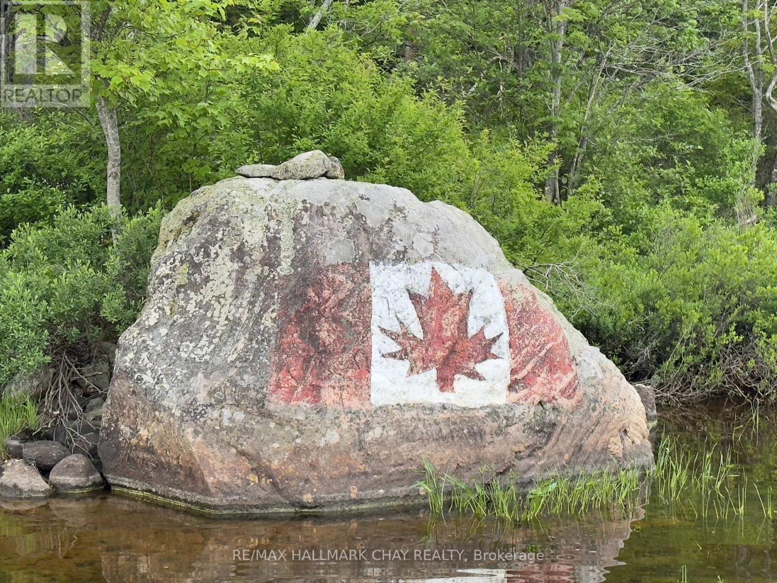 51 Bayside Drive, Mcmurrich/monteith, Ontario  P0A 1Y0 - Photo 45 - X12912952