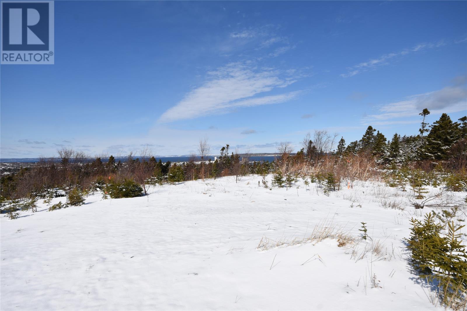 74 Readers Hill Road, Conception Bay South, Newfoundland & Labrador  A1W 5B9 - Photo 4 - 1295266