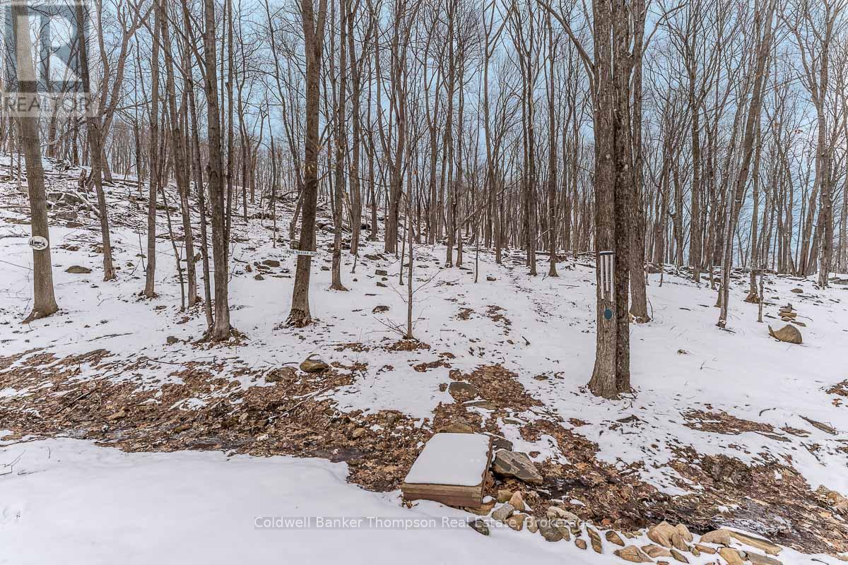 392 Indian Trail, Huntsville, Ontario  P1H 1Y9 - Photo 42 - X12912996