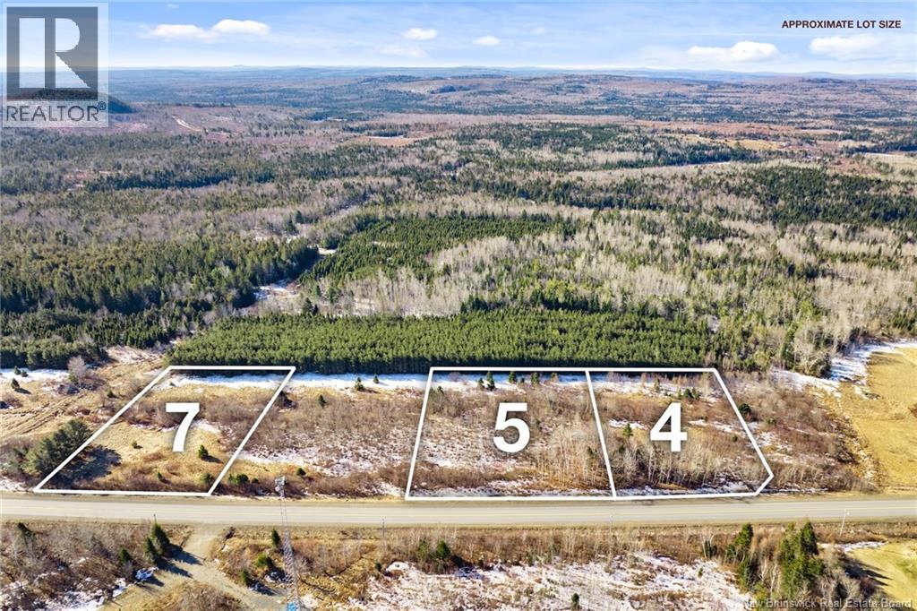 Lot 93-5 Route 104, Middle Hainesville, New Brunswick  E6E 2H2 - Photo 5 - NB135344