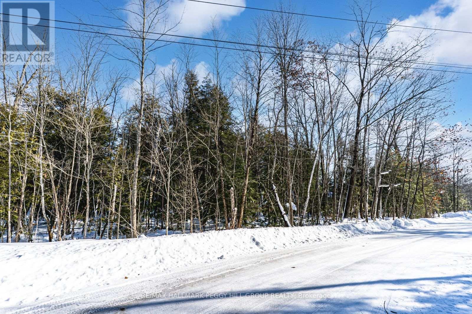 38 Lasalle Trail, Tiny, Ontario  L9M 0G3 - Photo 4 - S12779264