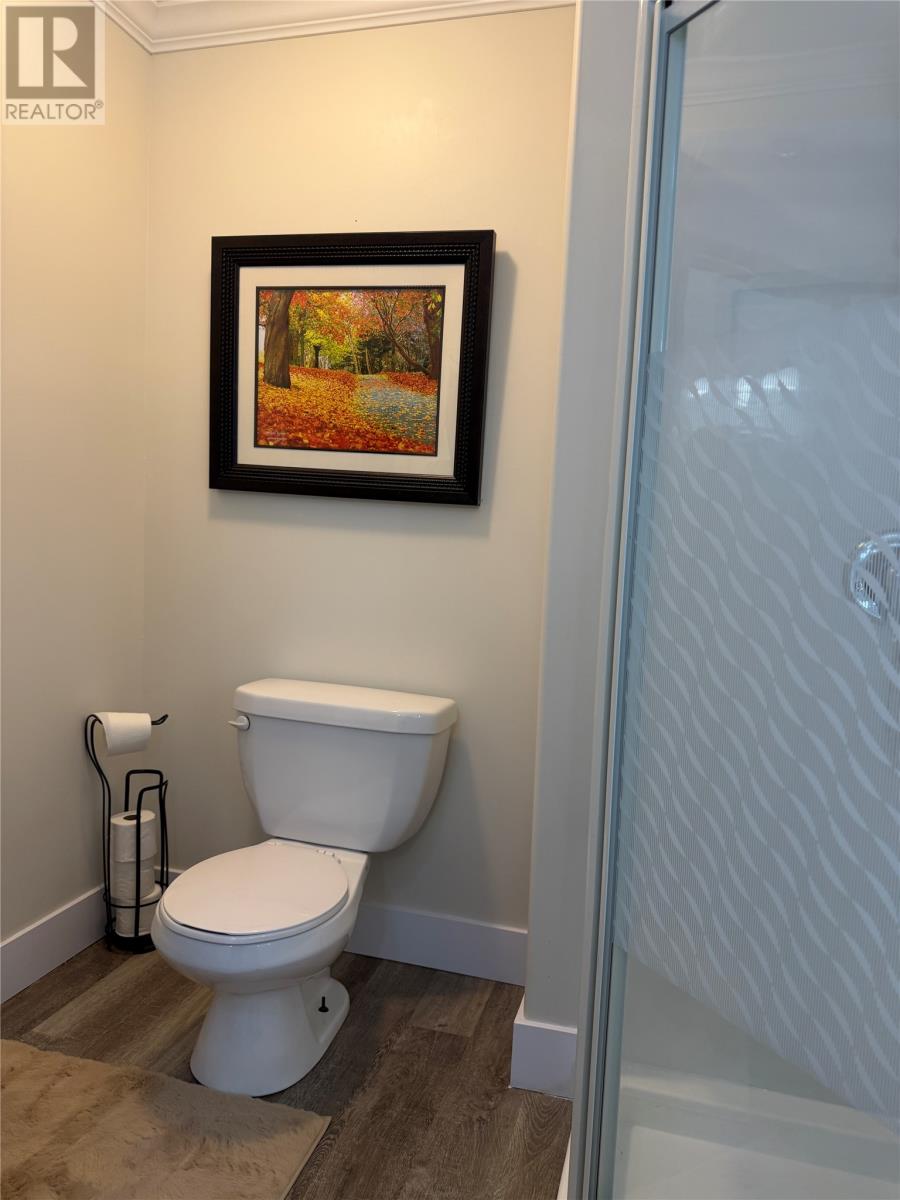 2 Ned Synards Road, , Newfoundland & Labrador  A0E 1H0 - Photo 41 - 1295493