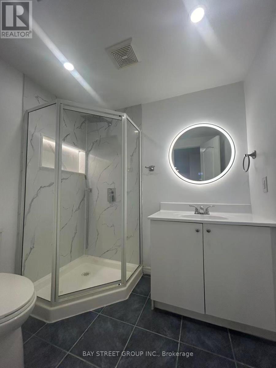 Basement - 255 Stonebridge Drive, Markham, Ontario  L6C 3A7 - Photo 2 - N12913074