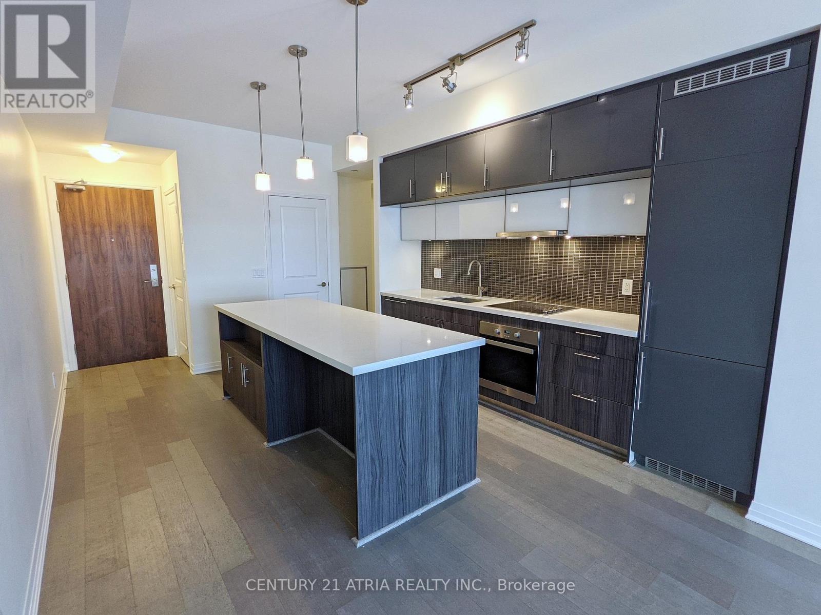 520 - 8 Mercer Street, Toronto, Ontario  M5V 0C4 - Photo 2 - C12913240