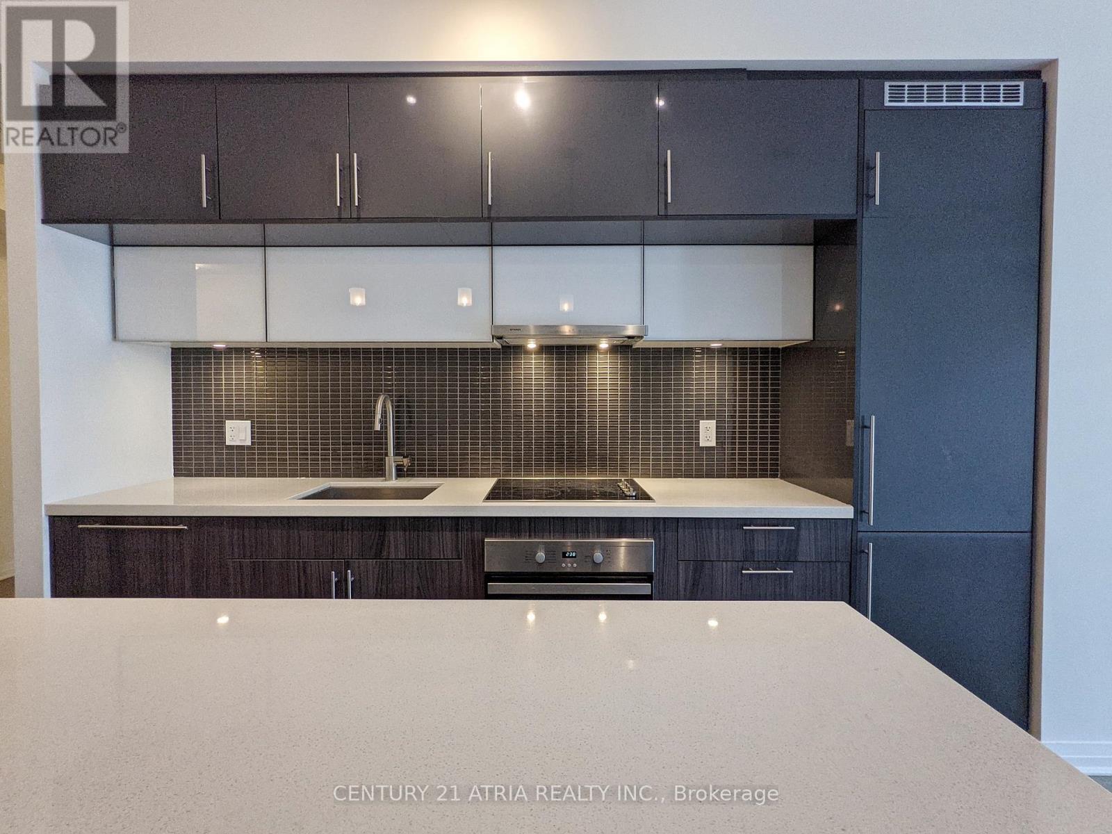 520 - 8 Mercer Street, Toronto, Ontario  M5V 0C4 - Photo 3 - C12913240