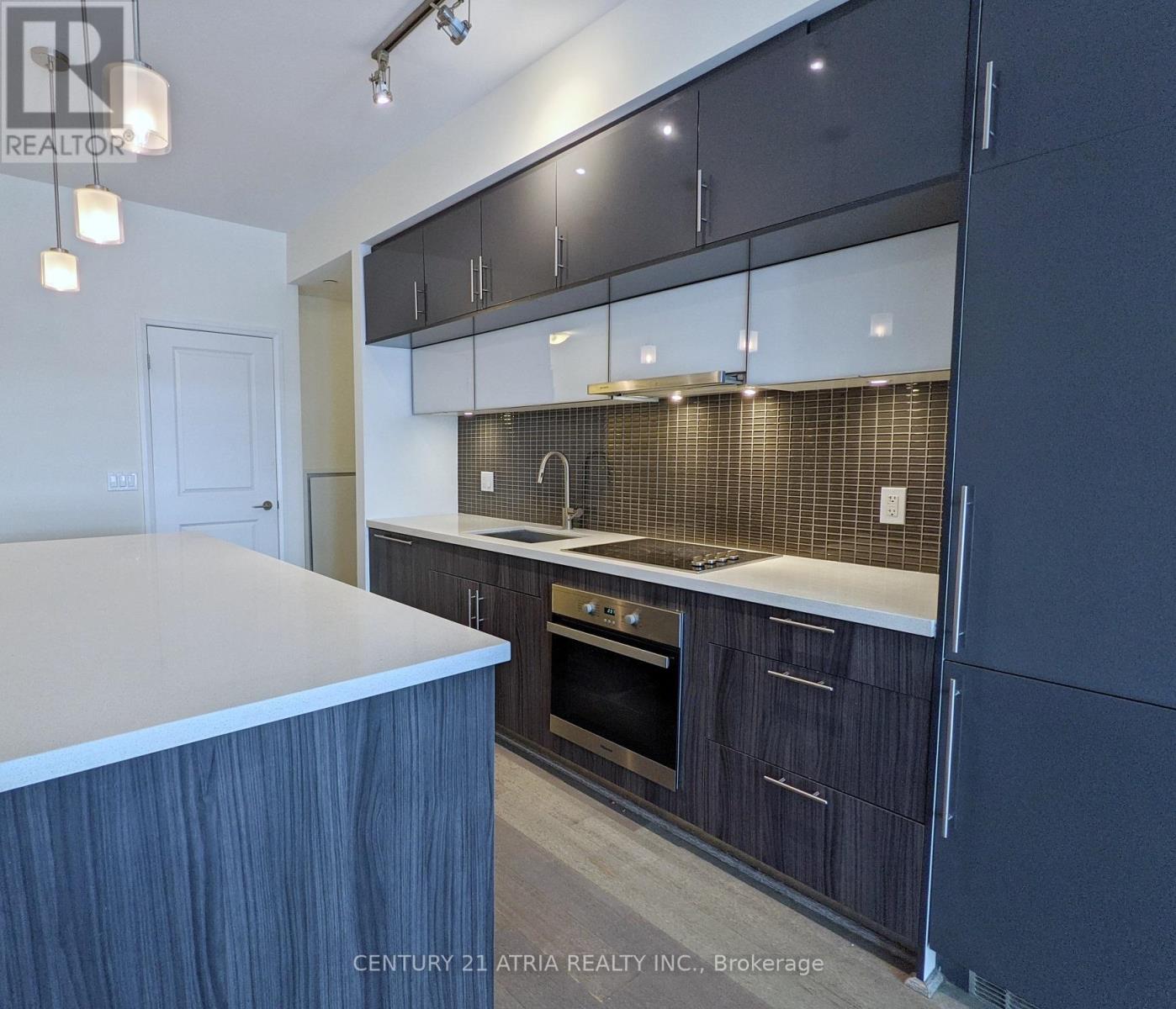 520 - 8 Mercer Street, Toronto, Ontario  M5V 0C4 - Photo 4 - C12913240