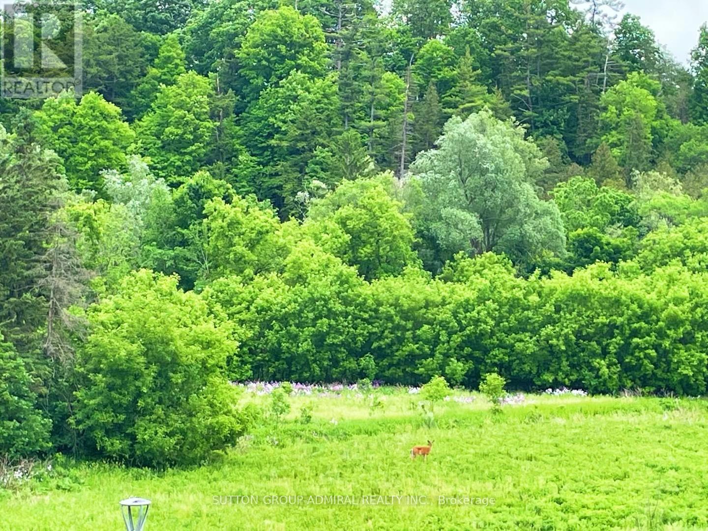 3 - 196 Pine Grove Road, Vaughan, Ontario  L4L 0H8 - Photo 33 - N12913258