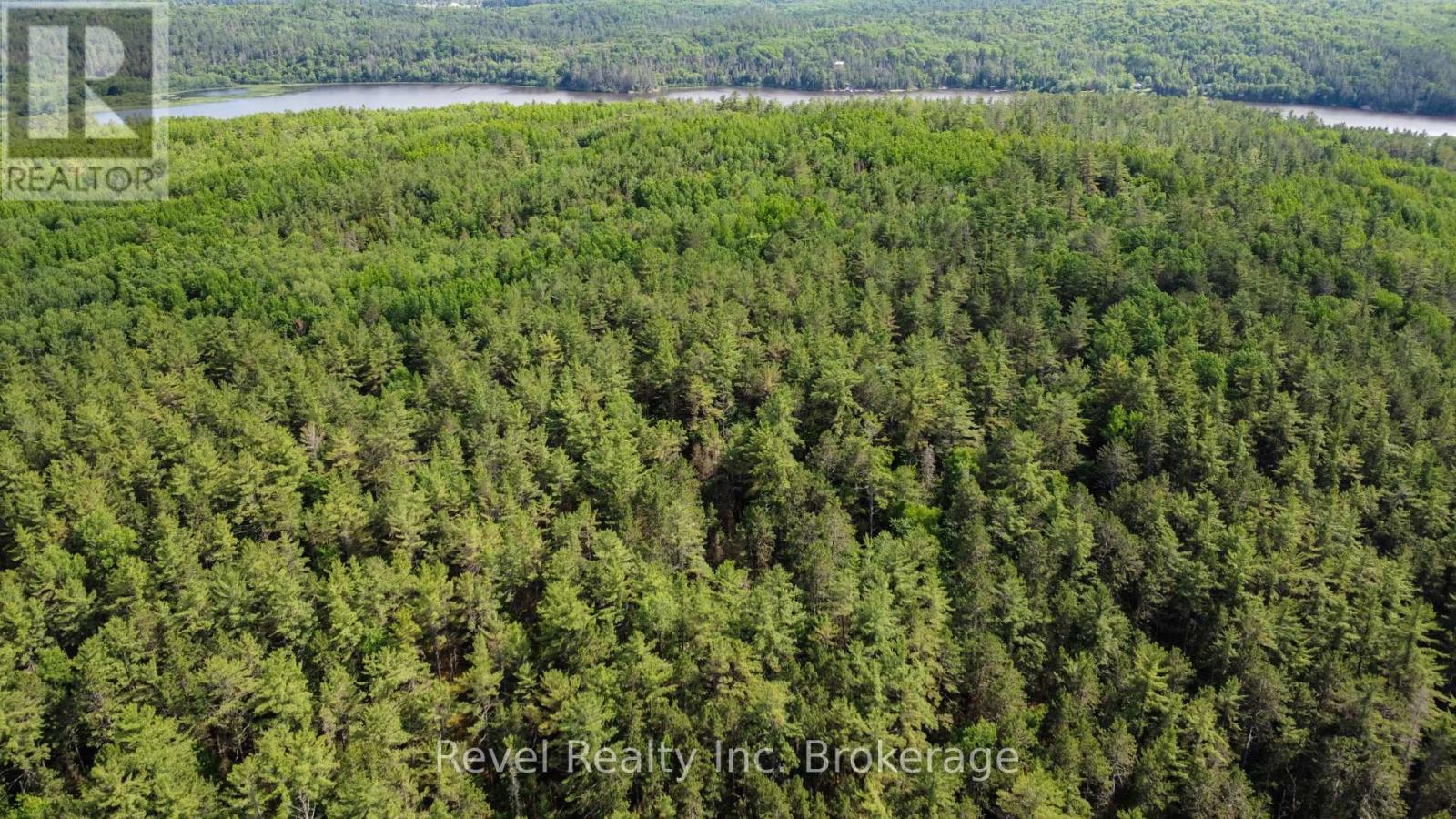 Lot 33 Shields Point Road, Bonfield, Ontario  P0H 2E0 - Photo 10 - X12913708