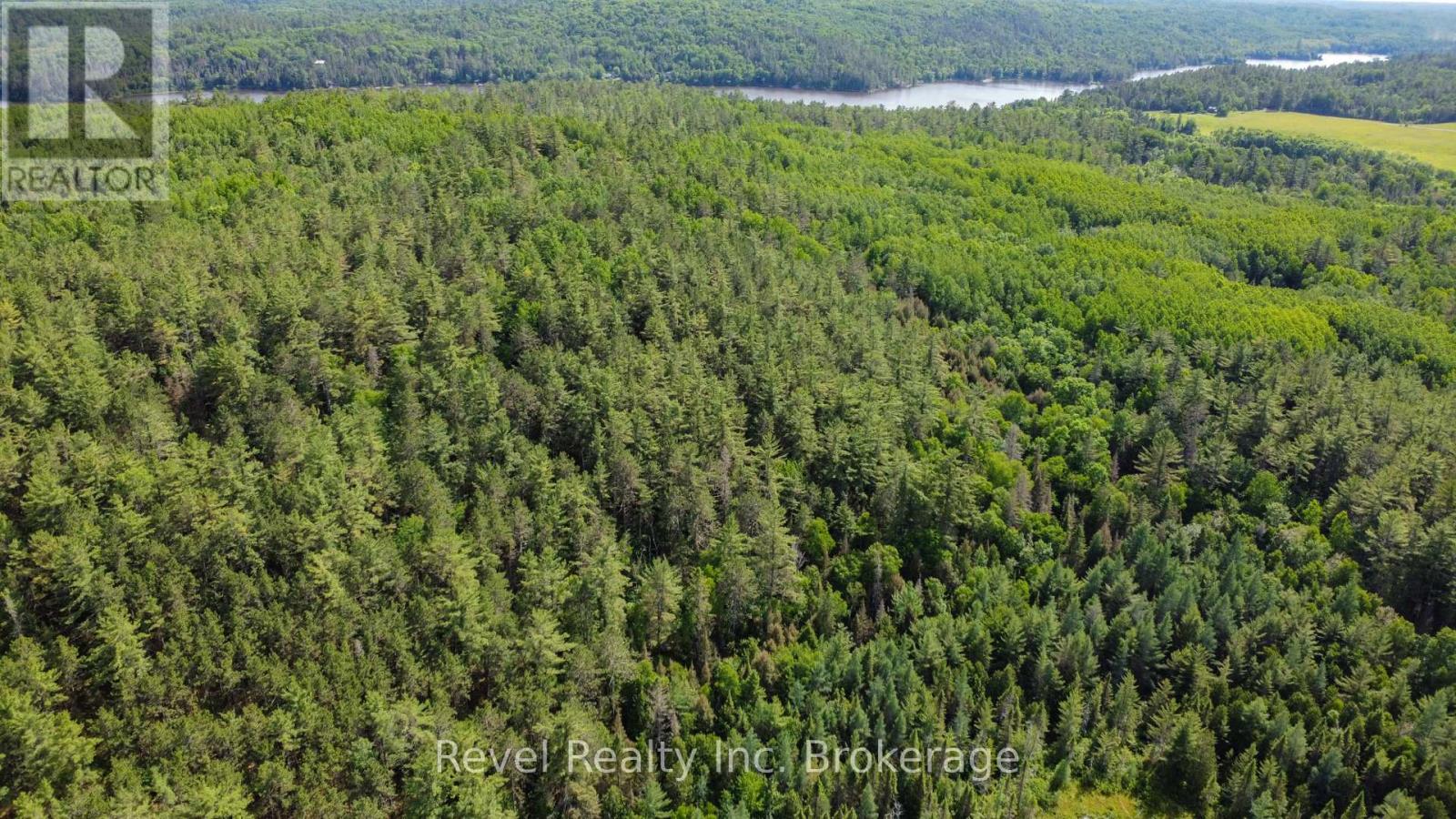 Lot 33 Shields Point Road, Bonfield, Ontario  P0H 2E0 - Photo 11 - X12913708