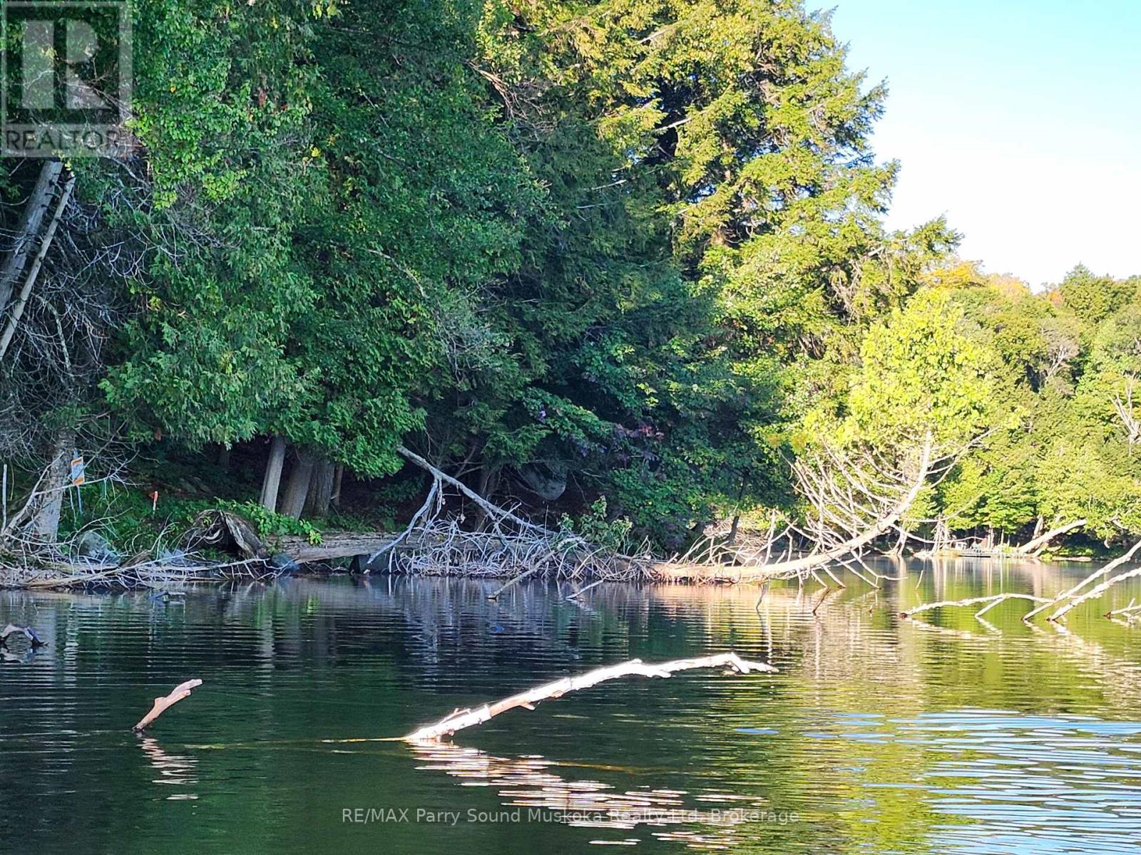 368 Simmons Lake Road, Magnetawan, Ontario  P0A 1P0 - Photo 11 - X12913636