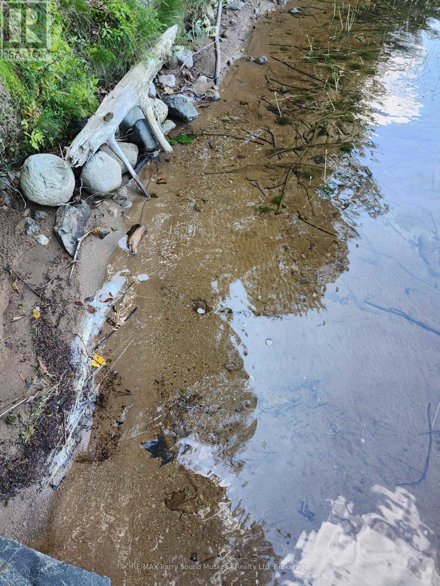 368 Simmons Lake Road, Magnetawan, Ontario  P0A 1P0 - Photo 8 - X12913636