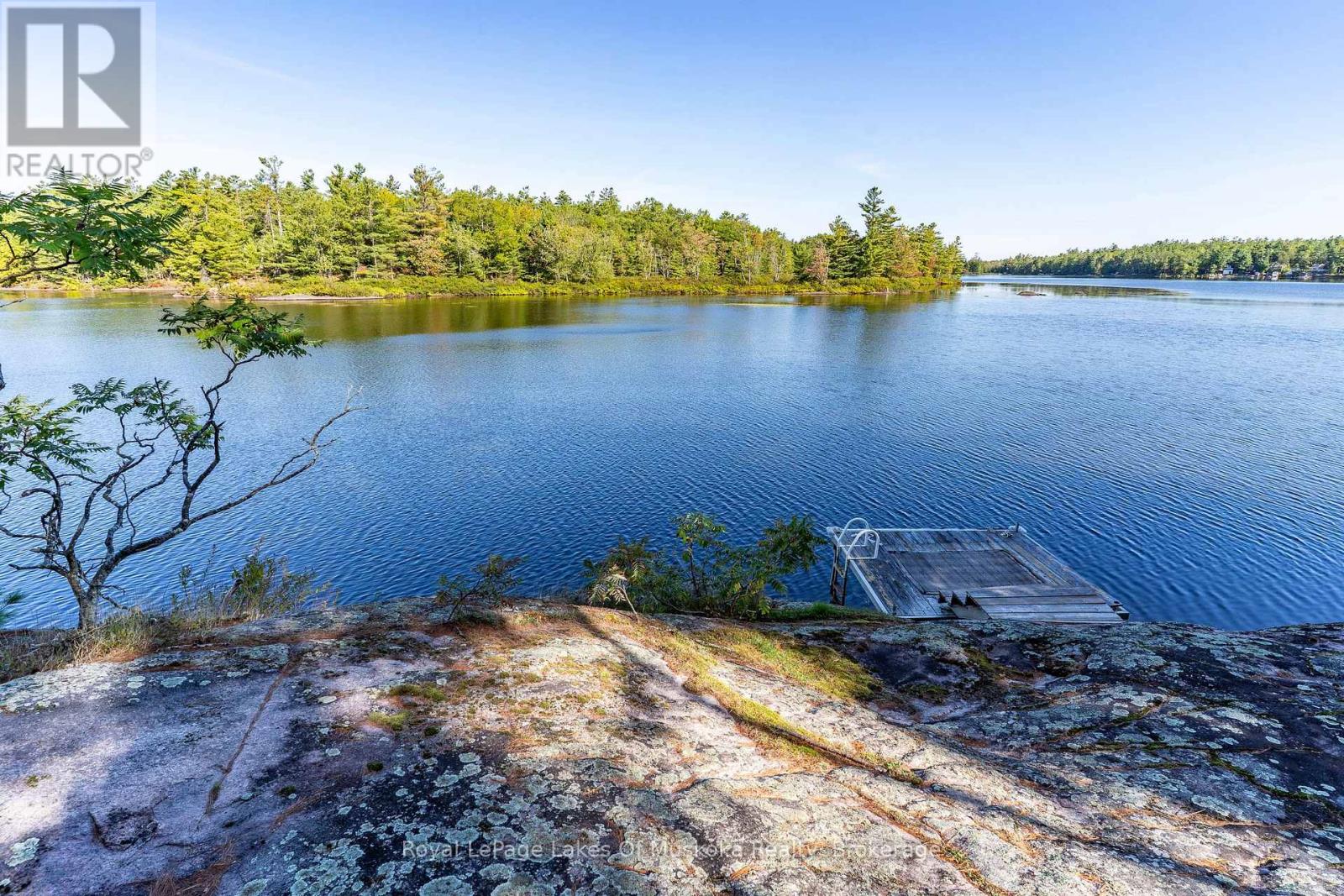 1010 Tara Lane, Gravenhurst, Ontario  P0E 1N0 - Photo 4 - X12913780