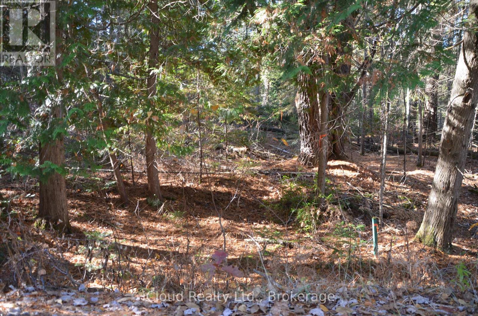 2 Parker Bay Road, Whitestone, Ontario  P0A 1G0 - Photo 12 - X12913718