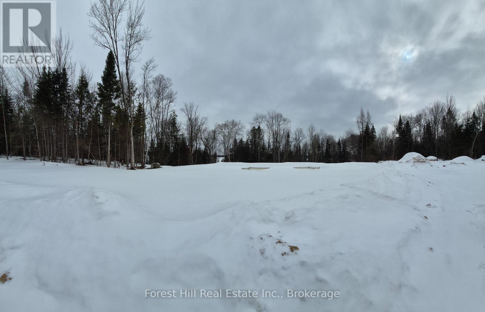 179 Woodland Drive S, Mcmurrich/monteith, Ontario  P0A 1Y0 - Photo 6 - X12870250