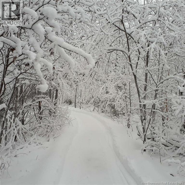 1748 Route 315, Dunlop, New Brunswick  E8K 2P3 - Photo 8 - NB134814