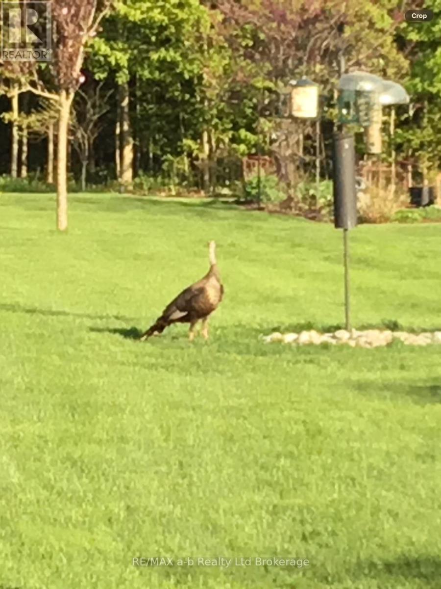 90 Weston Drive, Tillsonburg, Ontario  N4G 5W9 - Photo 46 - X12913344