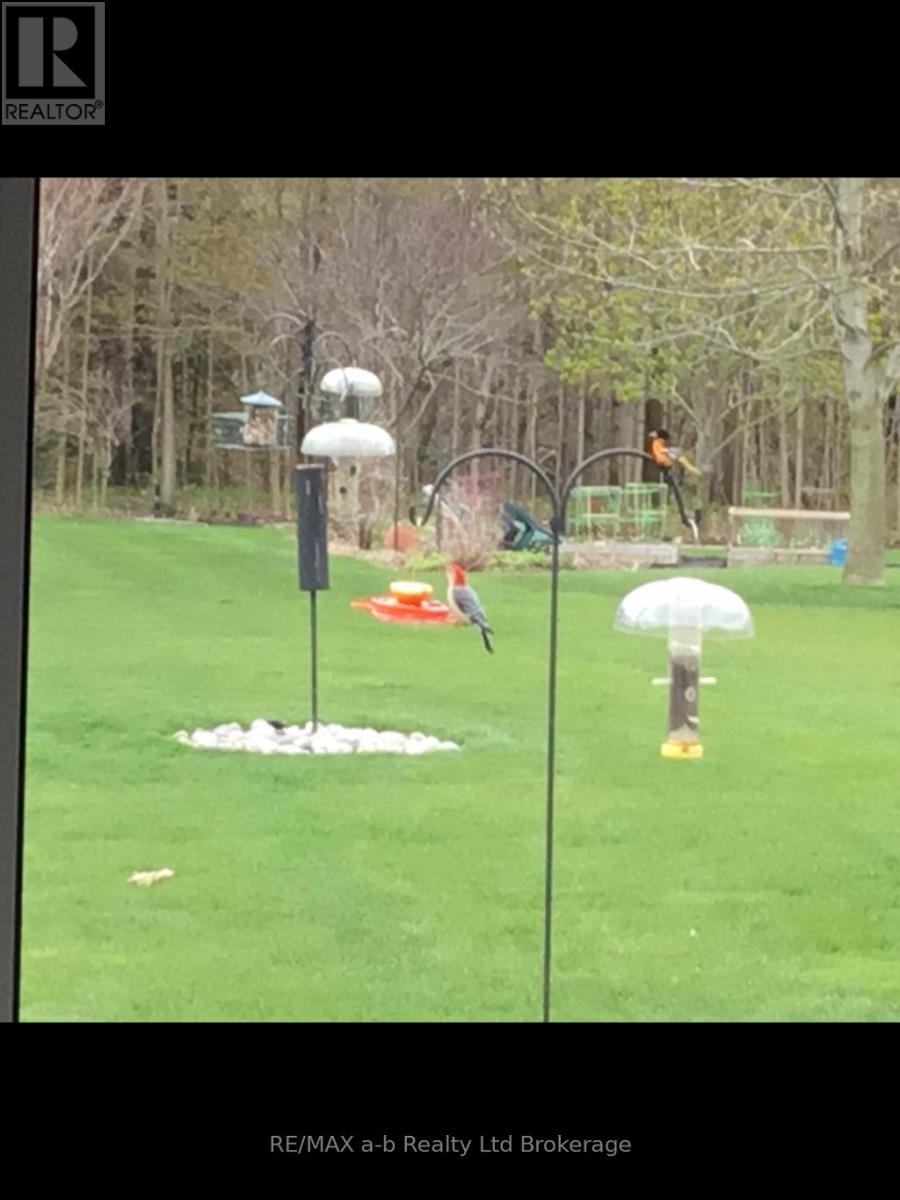 90 Weston Drive, Tillsonburg, Ontario  N4G 5W9 - Photo 47 - X12913344