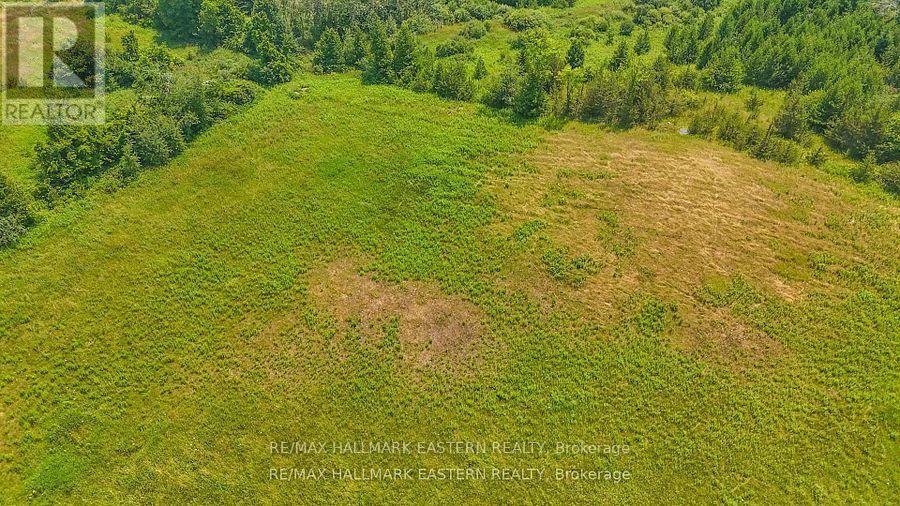 0 Con 10 Lot 5 Old Norwood Road, Havelock-Belmont-Methuen, Ontario K0L 1Z0 - Photo 3 - X12913904