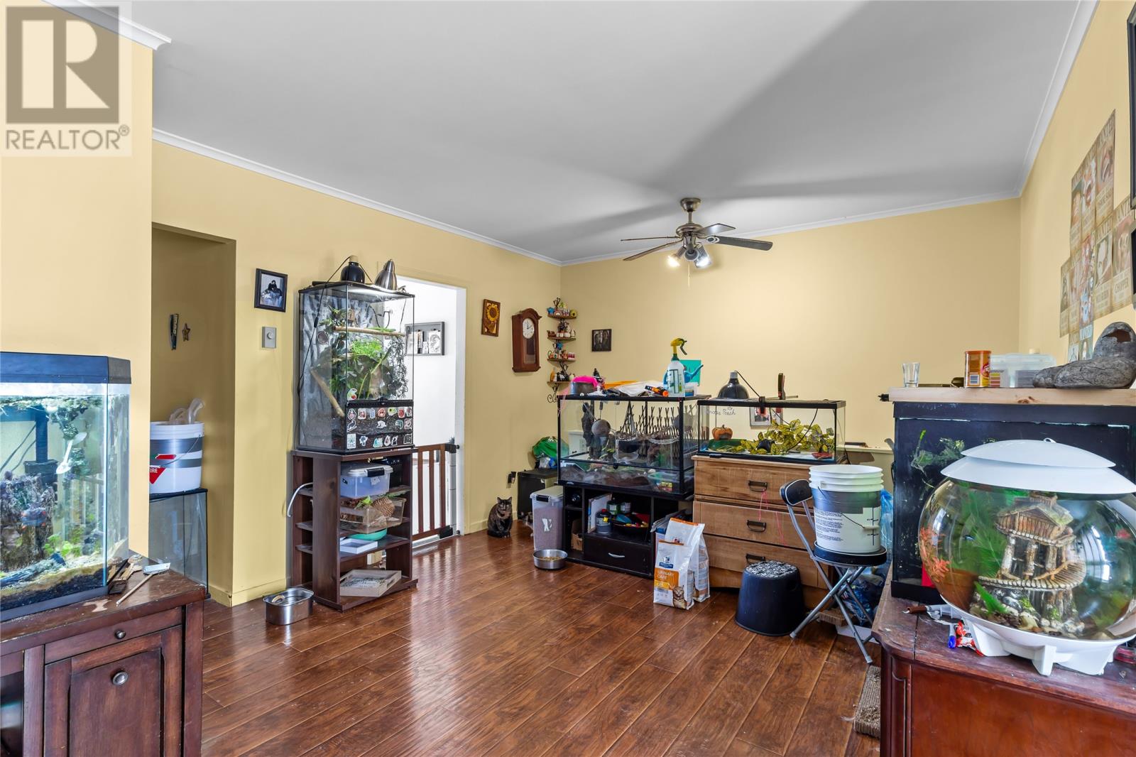 5,7,9,11 Airport Place, St. John's, Newfoundland & Labrador  A1A 4Y3 - Photo 5 - 1295457