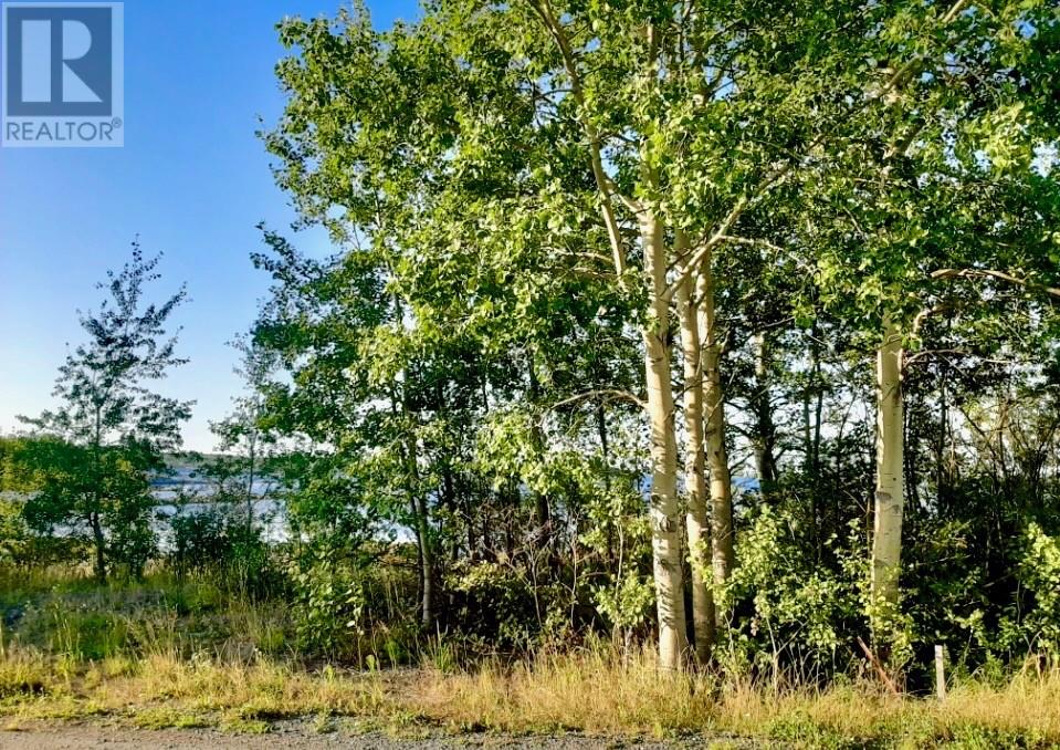 6-8 Indian Arm Road, Campbellton, Newfoundland & Labrador  A0G 2A0 - Photo 6 - 1287863