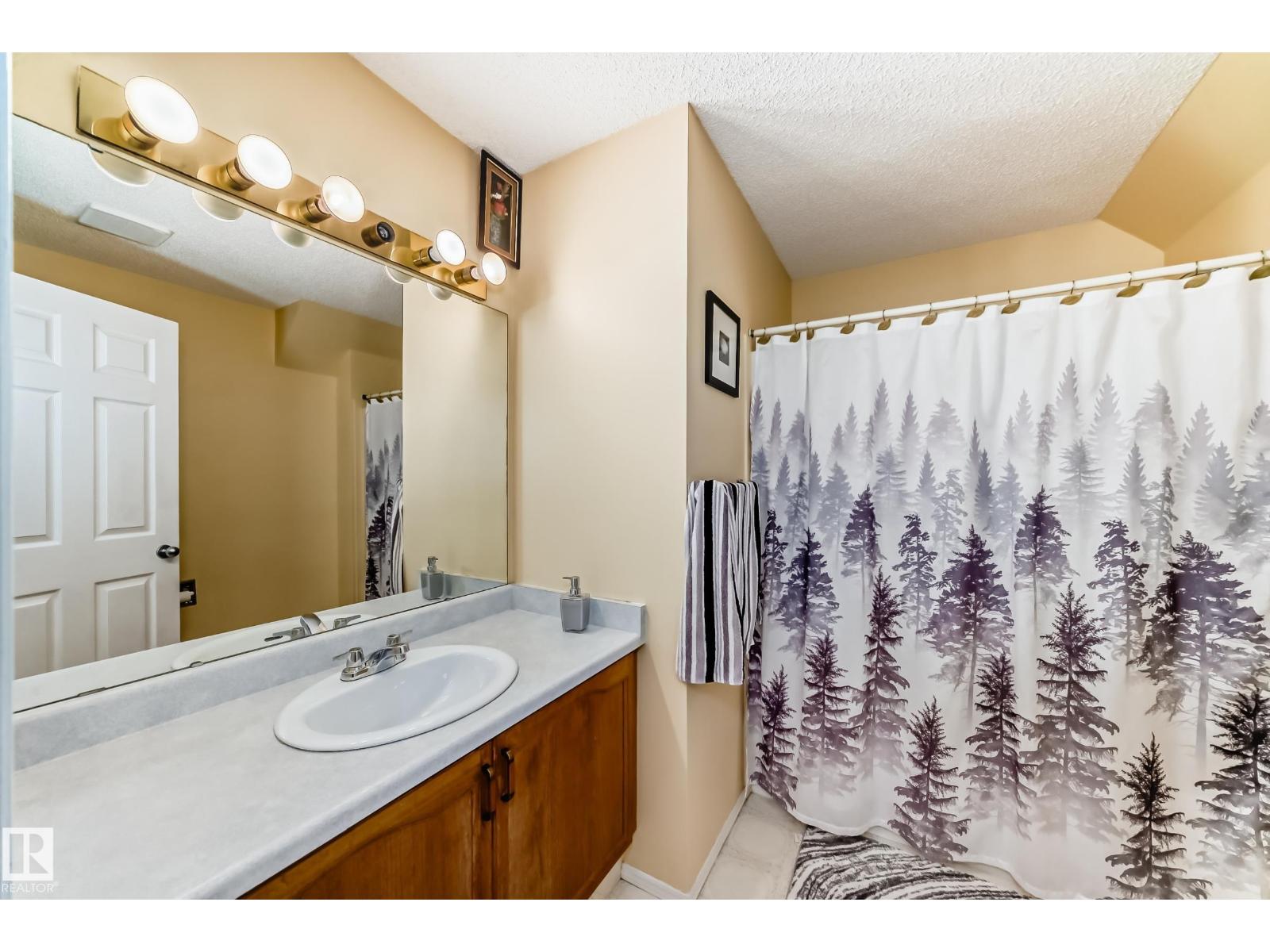 11532 9 Av Nw, Edmonton, Alberta T6J 6T9 - Photo 45 - E4477613