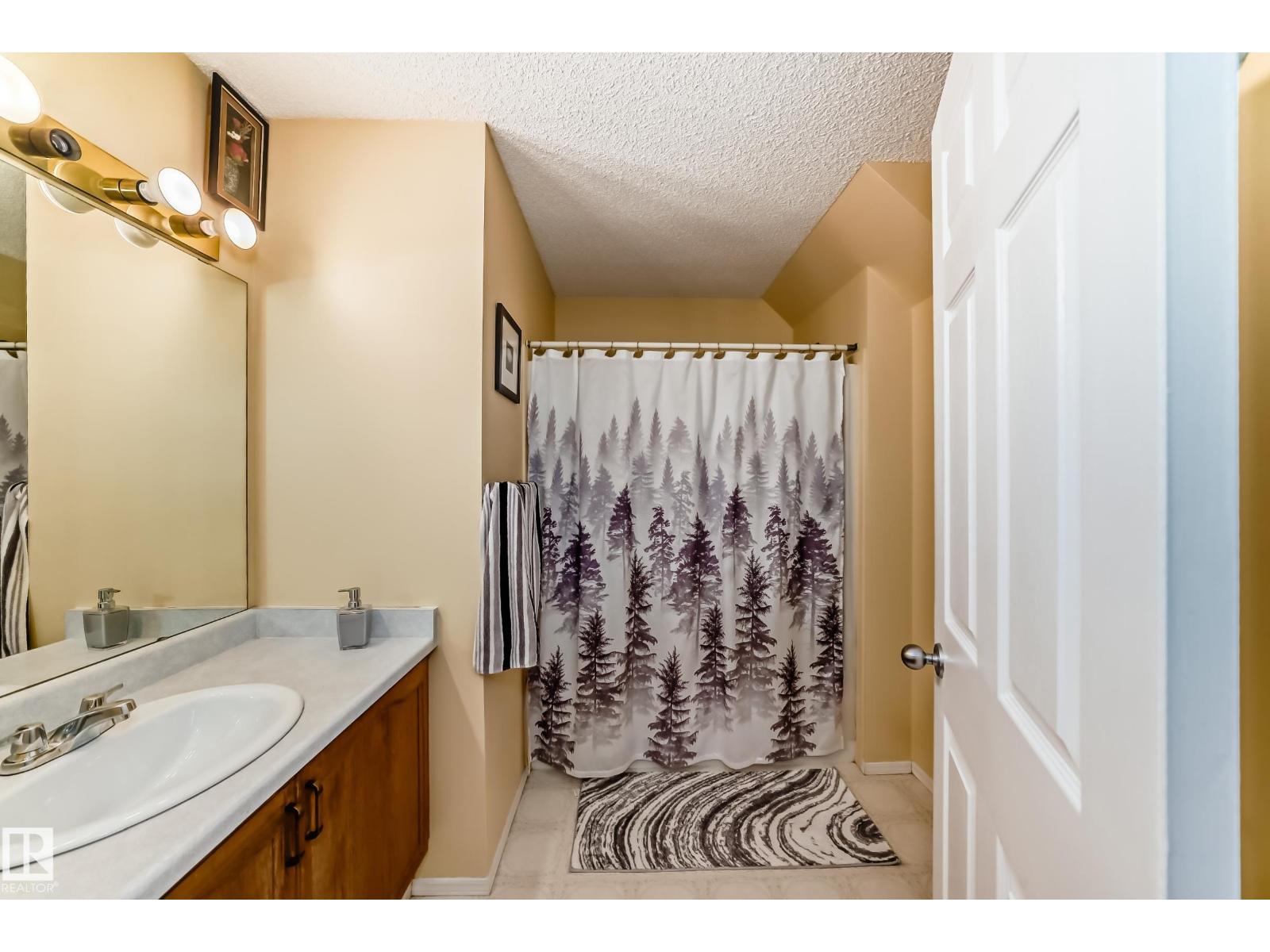 11532 9 Av Nw, Edmonton, Alberta T6J 6T9 - Photo 40 - E4477613