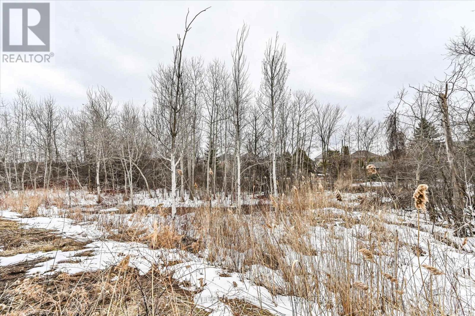 45 Portage Avenue, Richmond Hill, Ontario L4E 2Z5 - Photo 50 - N12913956