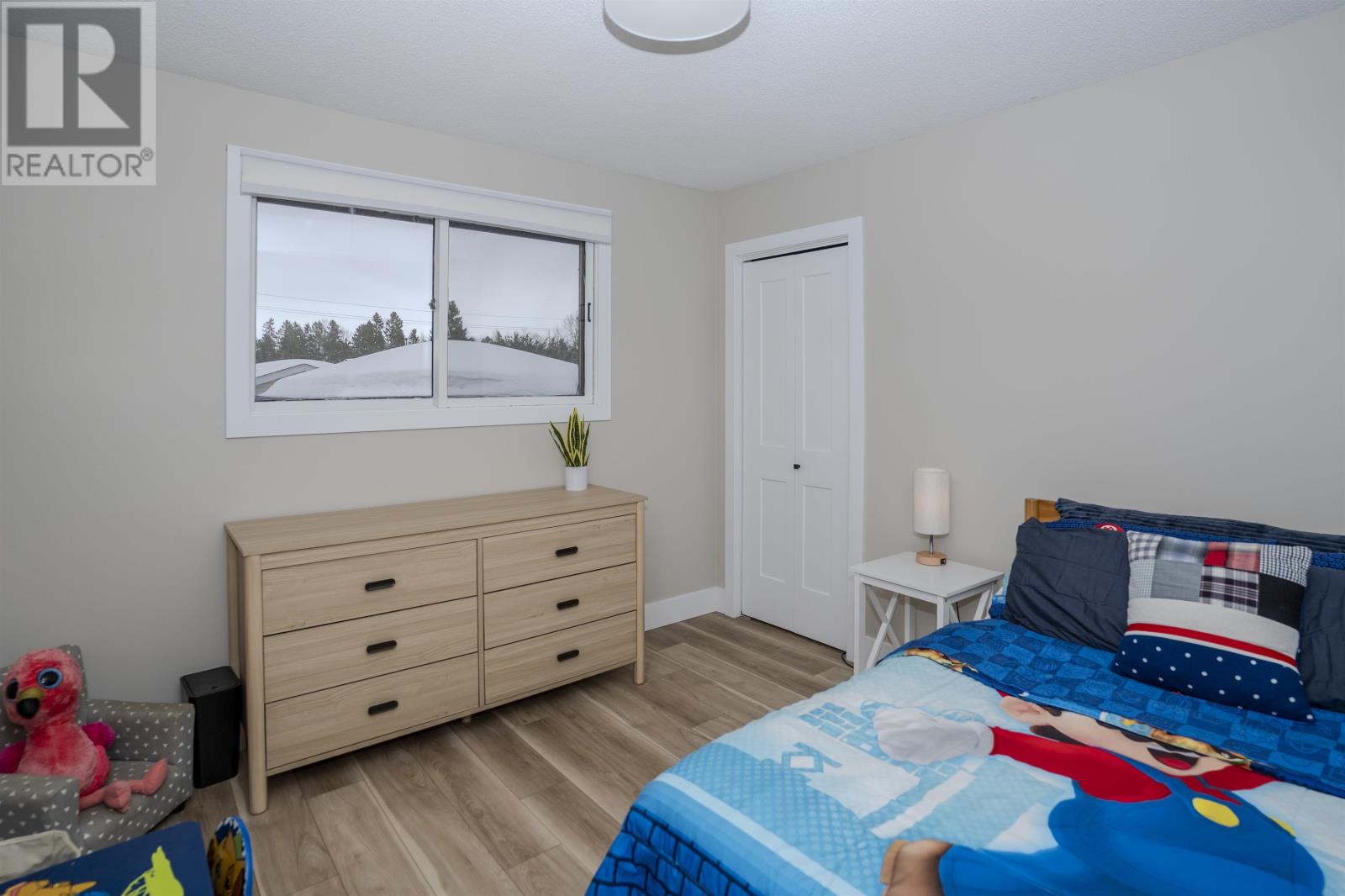 232 Downing St, Thunder Bay, Ontario  P7A 7Z4 - Photo 17 - TB2600514