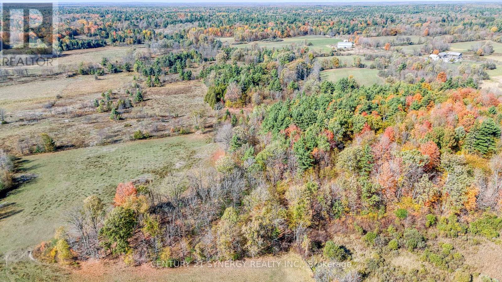 713 Rutherford Side Road, Tay Valley, Ontario  K7H 3C9 - Photo 50 - X12914294