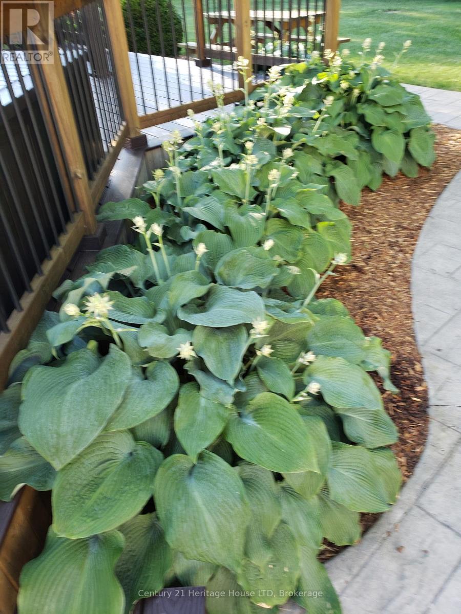 506 Murdock Avenue, Fort Erie, Ontario  L2A 1S4 - Photo 30 - X12914076