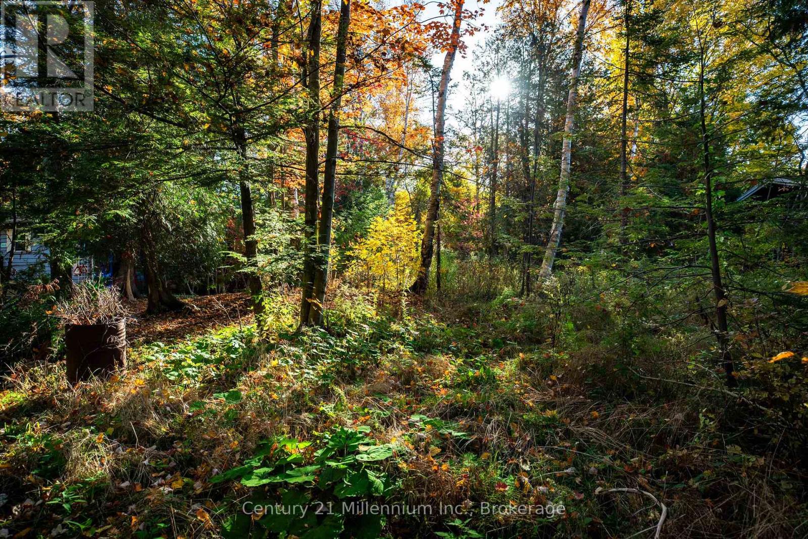 Lot 35 Jay Street, Saugeen Shores, Ontario  N0H 2C5 - Photo 3 - X12914184