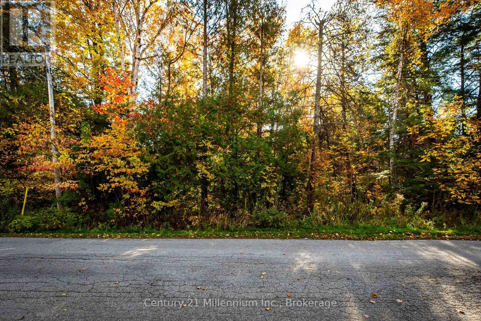 Lot 35 Jay Street, Saugeen Shores, Ontario  N0H 2C5 - Photo 5 - X12914184