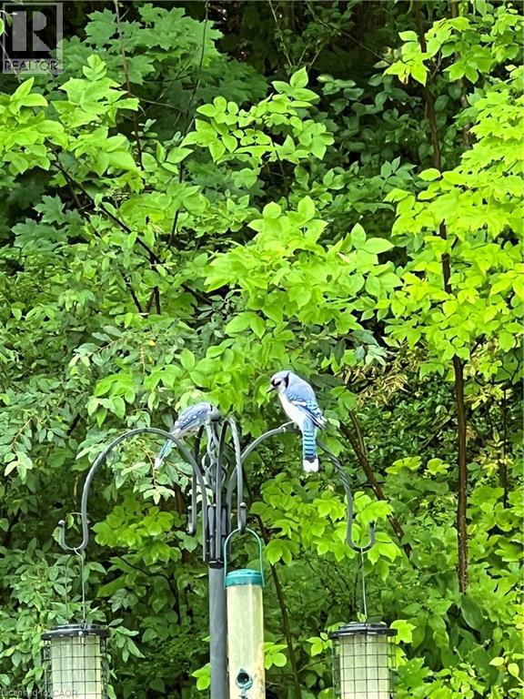 70 Berkley Crescent, Simcoe, Ontario  N3Y 2K5 - Photo 34 - 40806206