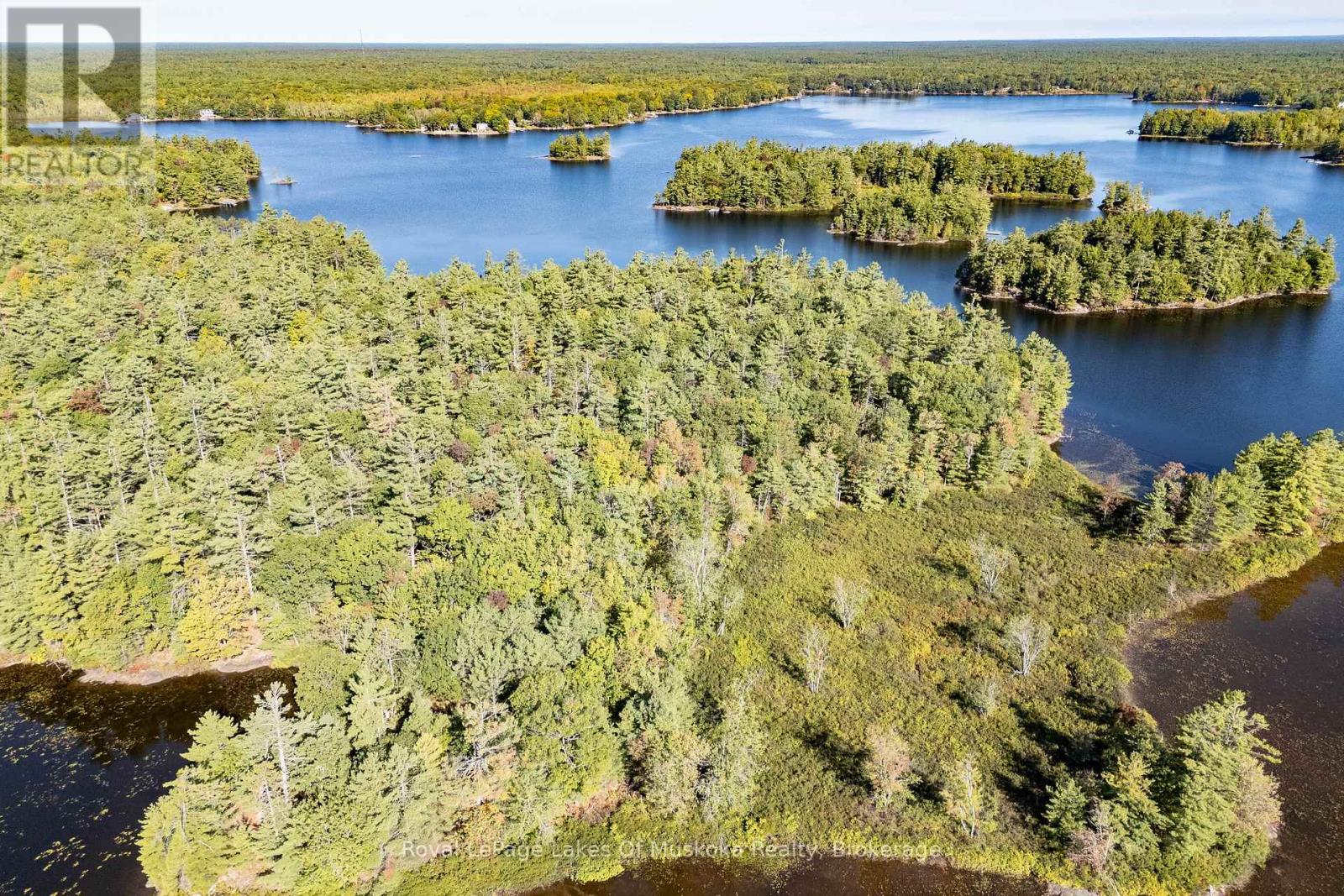 1010 Tara Lane, Gravenhurst, Ontario  P0E 1N0 - Photo 43 - X12913780