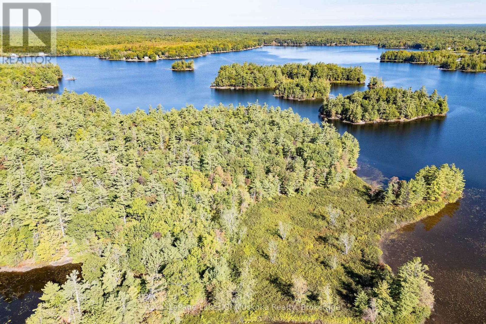 1010 Tara Lane, Gravenhurst, Ontario  P0E 1N0 - Photo 41 - X12913780