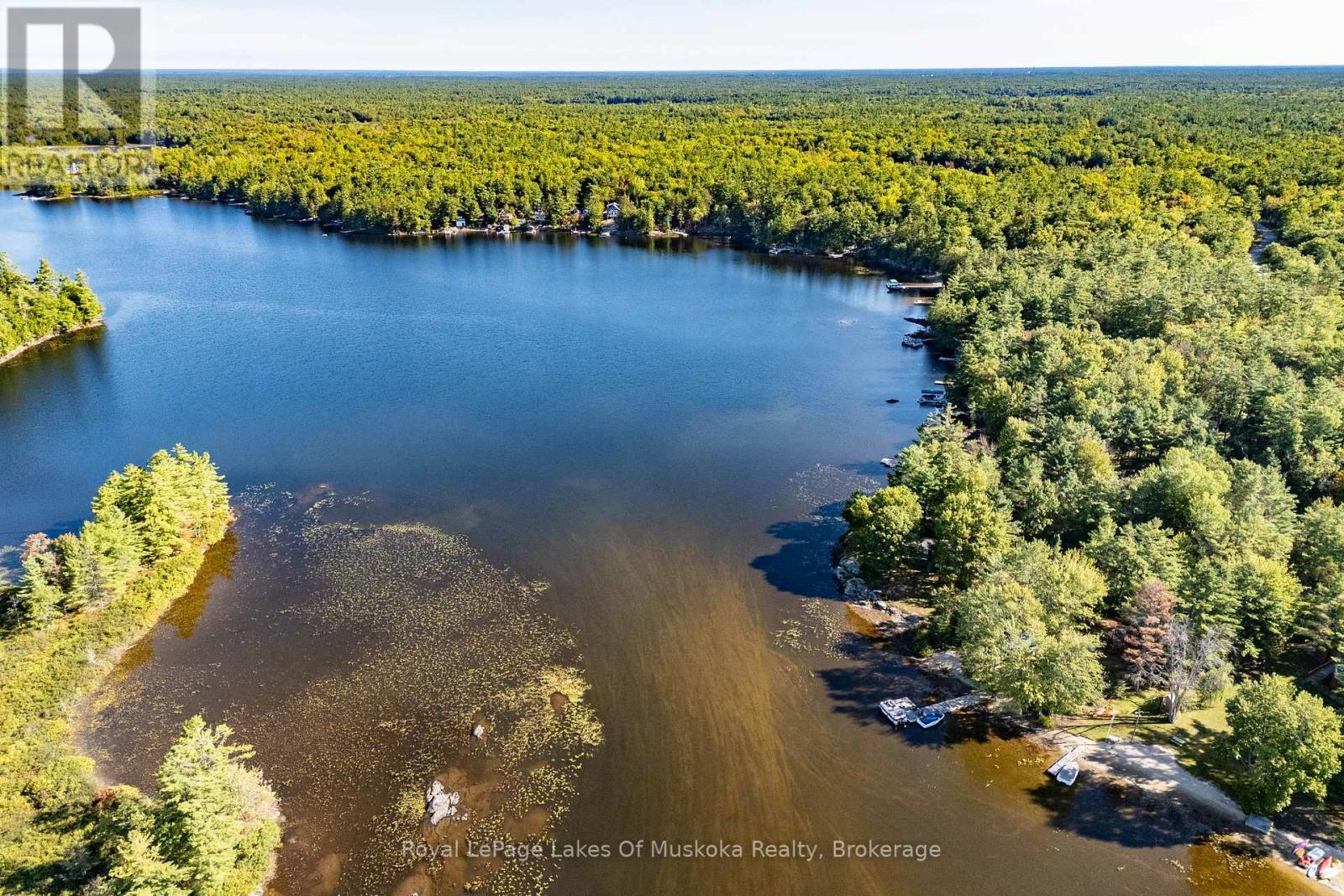 1010 Tara Lane, Gravenhurst, Ontario  P0E 1N0 - Photo 39 - X12913780