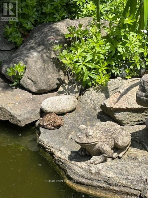 9 Summerhayes Crescent, Brantford, Ontario  N3R 5H9 - Photo 41 - X12914030